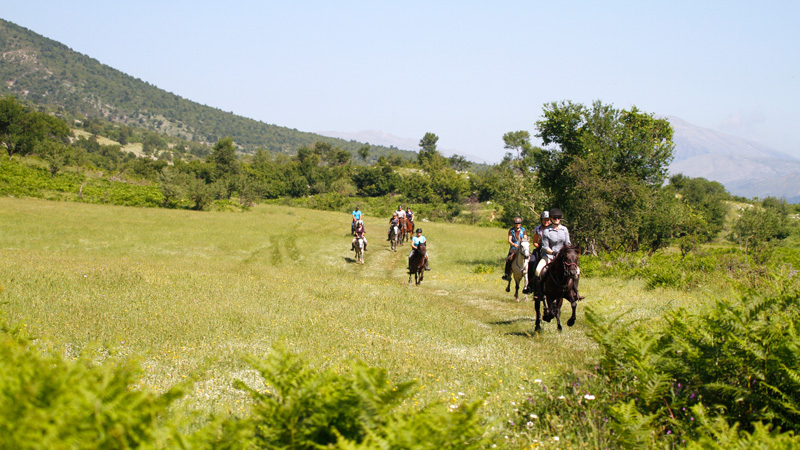 Albanien - Zagoria lngritt