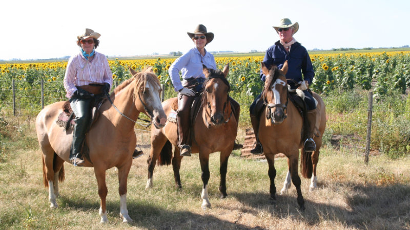 Argentina - Pampas, Gauchos, Polo & Buenos Aires