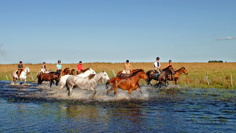 Argentina, Corrientes - El Dorado lngritt frn estancia till estancia