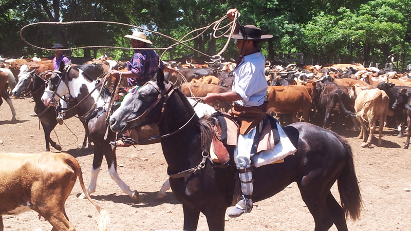 Argentina, Corrientes - Gaucho p Working Estancia