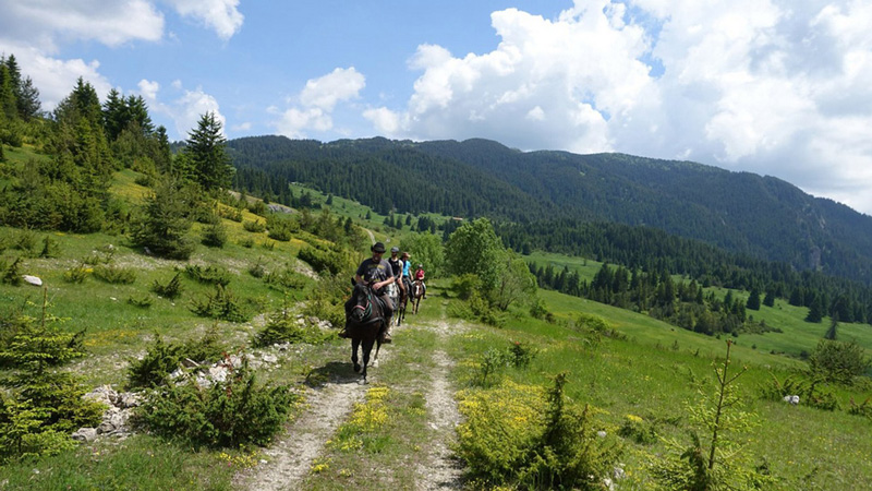 Bulgarien - Rodopibergen