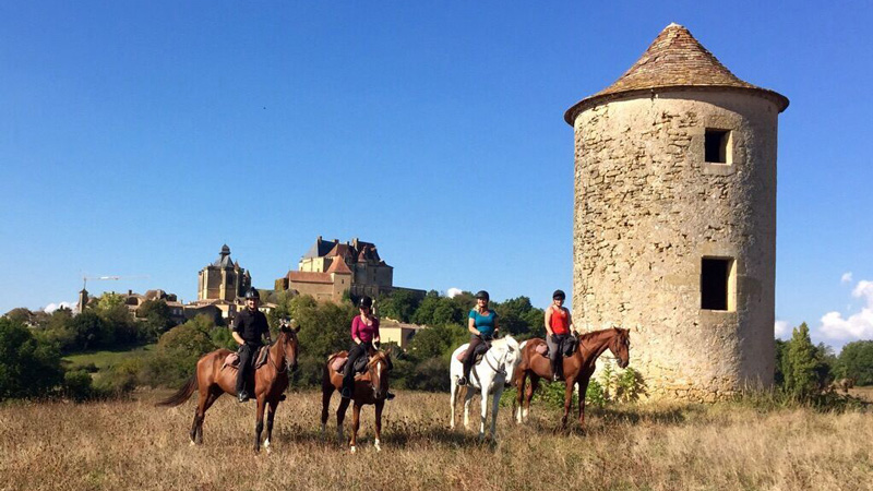 Frankrike, Aquitaine - Perigord - Sauternes och beach kombo