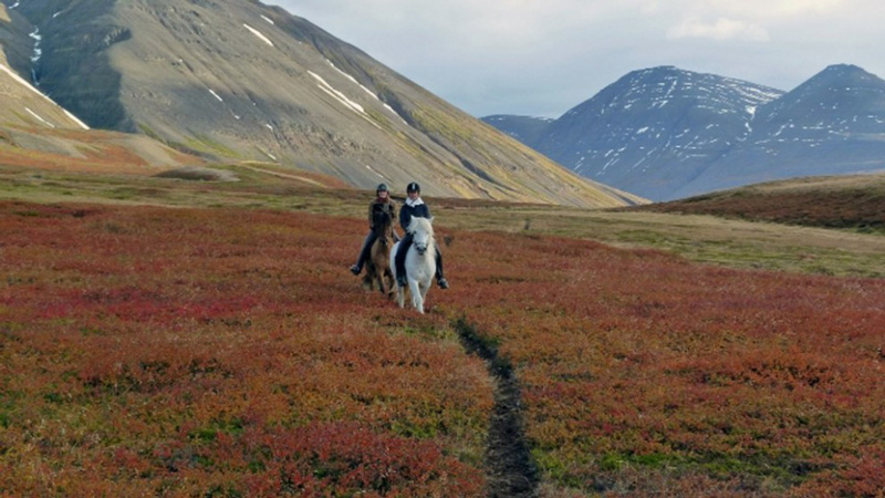 Island, Norra - Hstfrger och norrsken