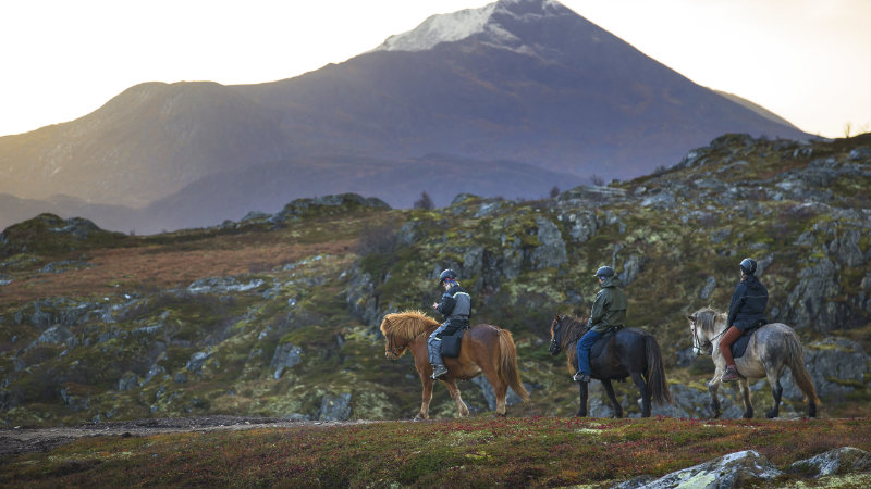 Norge, Lofotens berg & natur
