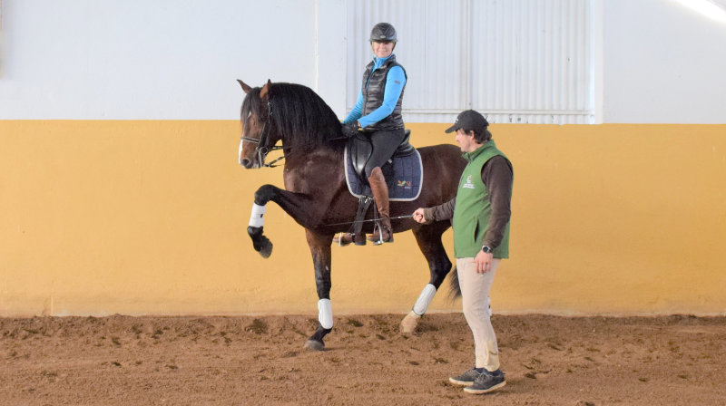 Portugal, Santarem - Dressyr & WE