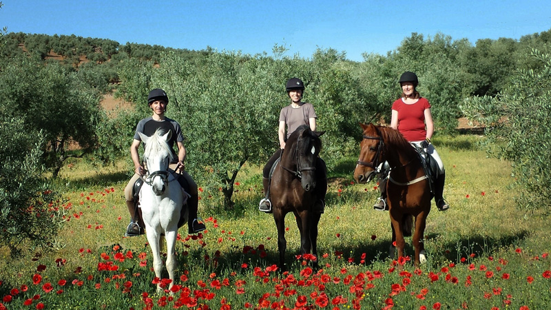 Spanien, Malaga - Uteritter och dressyrlektioner