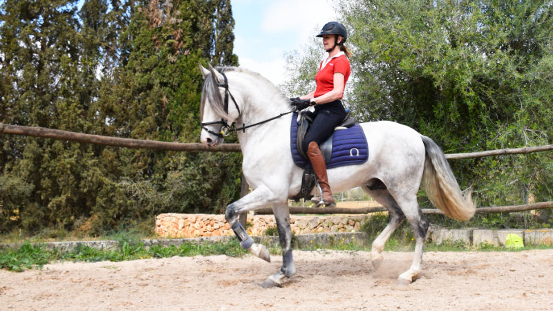 Spanien, Mallorca - Dressyr & uteritt