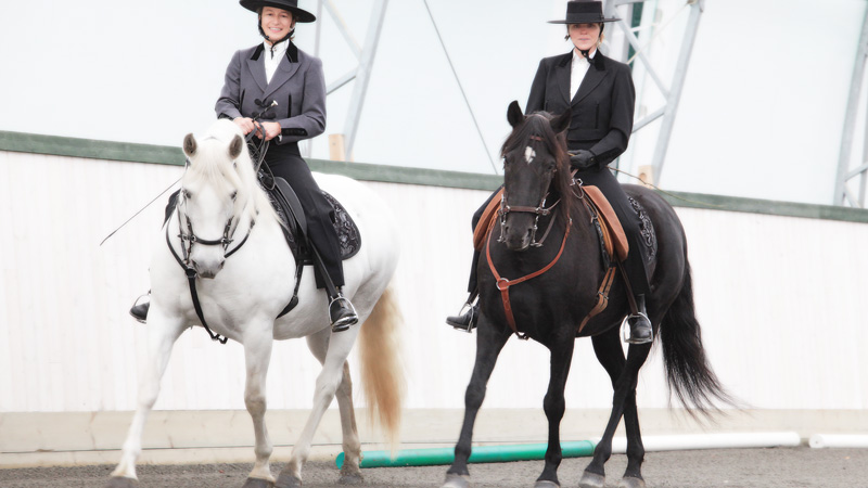 Sverige, Uppland - Ridning i harmoni med working equitation p lusitanos