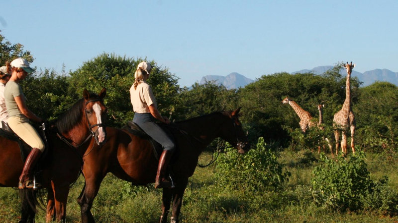 Sydafrika, Karongwe naturreservat