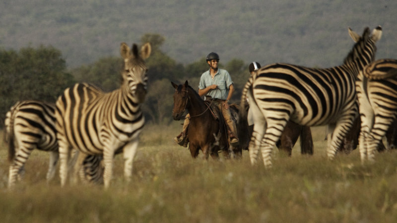 Sydafrika, Waterberg - Ranchvistelse med safari