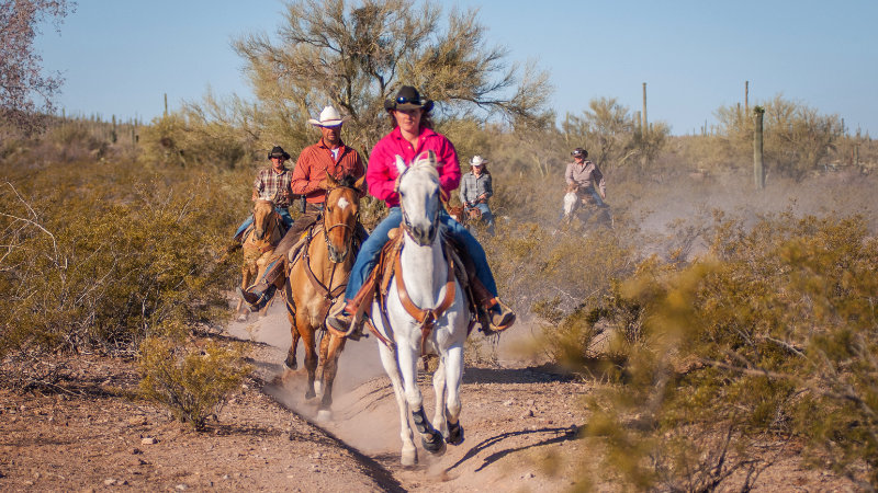 USA, Arizona - Cowboy i Vilda vstern