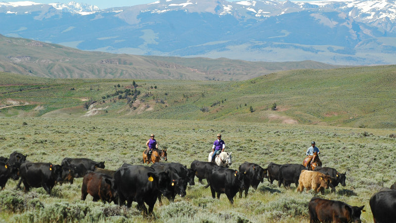 USA, Wyoming - Wind River