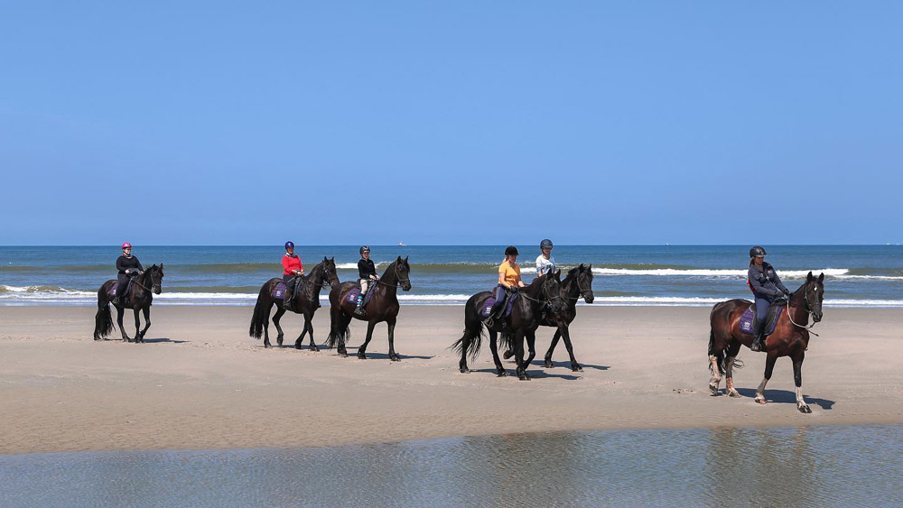 Nederlnderna, Terschelling