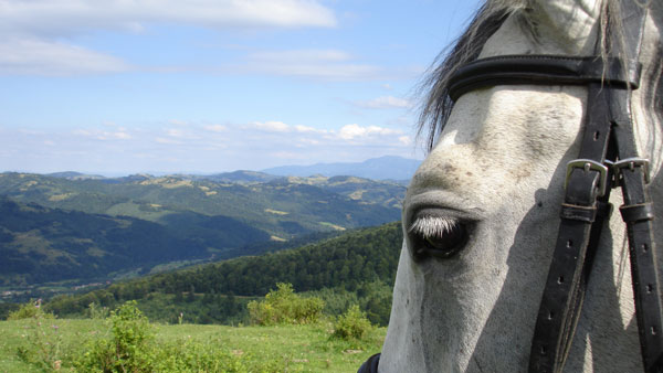 Transylvanien stjrnritt - samma boende hela veckan